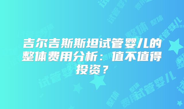 吉尔吉斯斯坦试管婴儿的整体费用分析：值不值得投资？