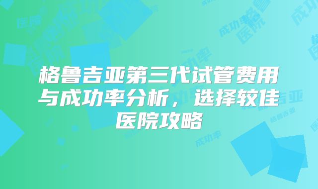 格鲁吉亚第三代试管费用与成功率分析，选择较佳医院攻略