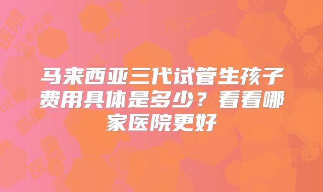马来西亚三代试管生孩子费用具体是多少？看看哪家医院更好