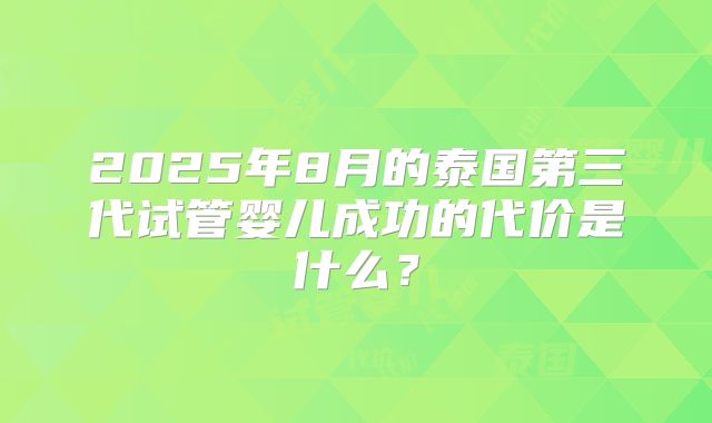 2025年8月的泰国第三代试管婴儿成功的代价是什么？