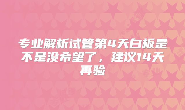 专业解析试管第4天白板是不是没希望了，建议14天再验