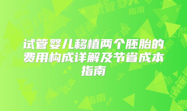 试管婴儿移植两个胚胎的费用构成详解及节省成本指南