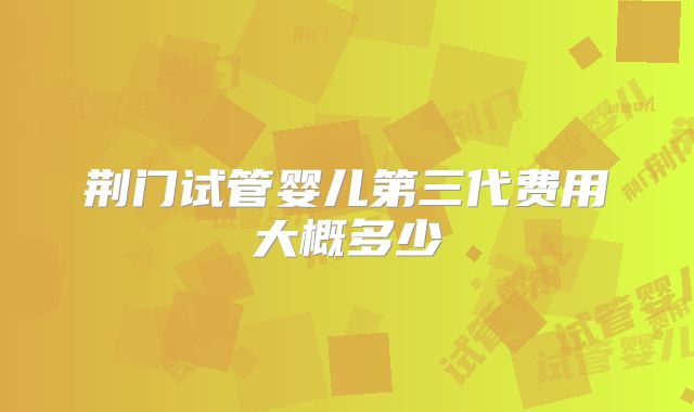 荆门试管婴儿第三代费用大概多少