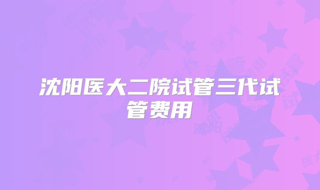 沈阳医大二院试管三代试管费用