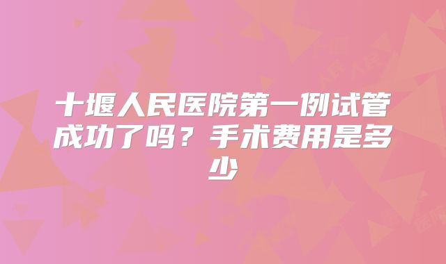 十堰人民医院第一例试管成功了吗？手术费用是多少