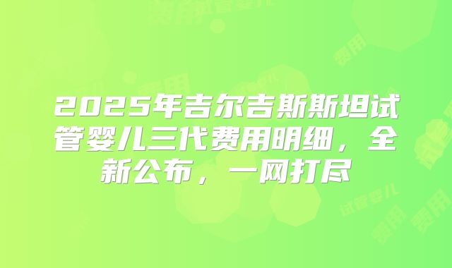2025年吉尔吉斯斯坦试管婴儿三代费用明细,全新公布,一网打尽