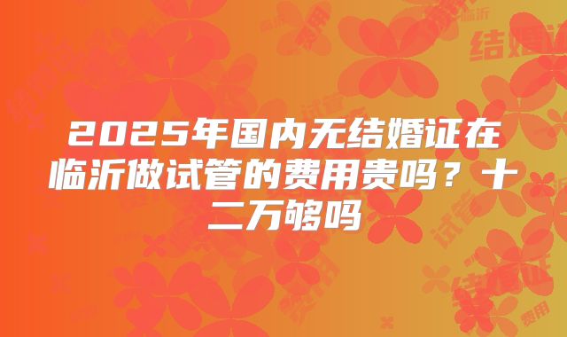 2025年国内无结婚证在临沂做试管的费用贵吗？十二万够吗