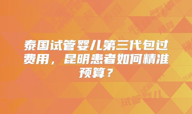 泰国试管婴儿第三代包过费用，昆明患者如何精准预算？