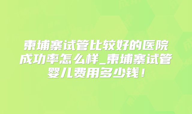柬埔寨试管比较好的医院成功率怎么样_柬埔寨试管婴儿费用多少钱!