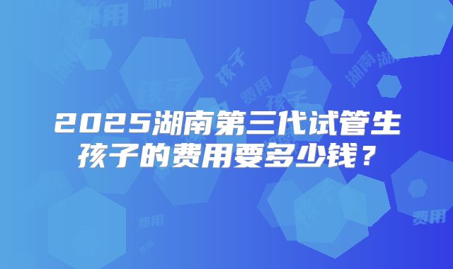 2025湖南第三代试管生孩子的费用要多少钱？