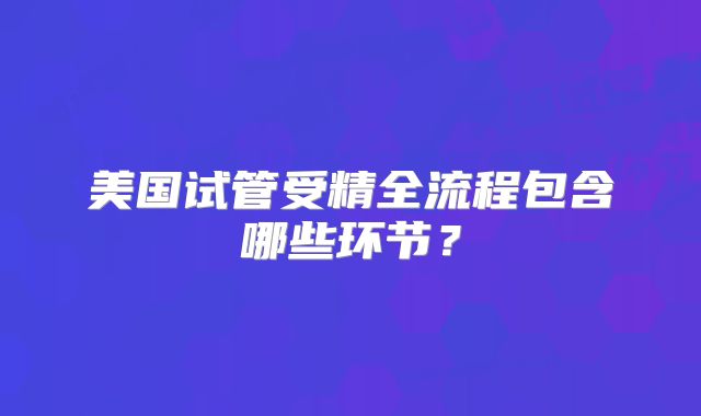 美国试管受精全流程包含哪些环节？