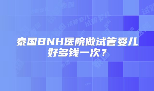 泰国BNH医院做试管婴儿好多钱一次？