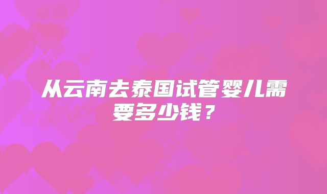 从云南去泰国试管婴儿需要多少钱？