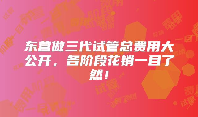 东营做三代试管总费用大公开，各阶段花销一目了然！