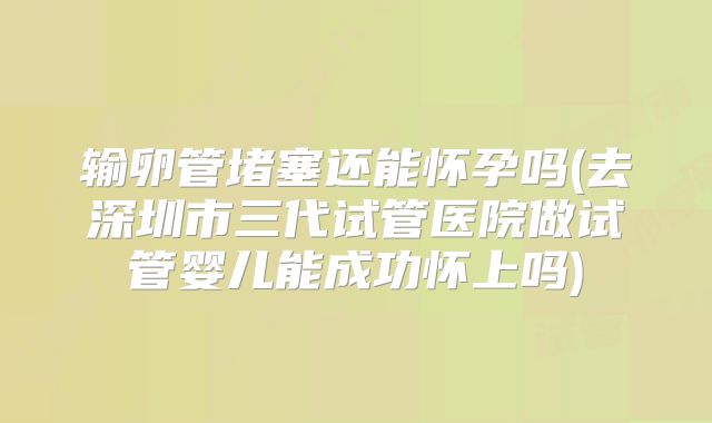 输卵管堵塞还能怀孕吗(去深圳市三代试管医院做试管婴儿能成功怀上吗)