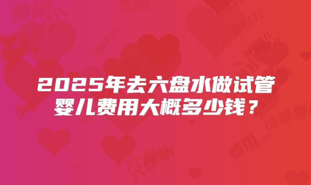 2025年去六盘水做试管婴儿费用大概多少钱？