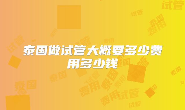 泰国做试管大概要多少费用多少钱