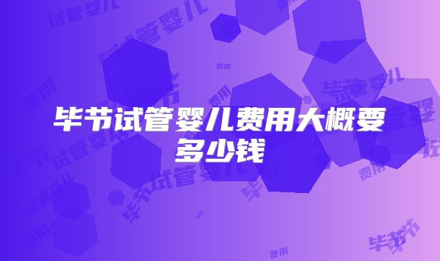 毕节试管婴儿费用大概要多少钱