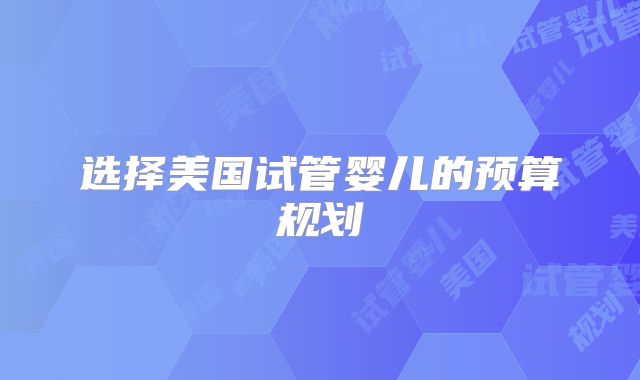 选择美国试管婴儿的预算规划