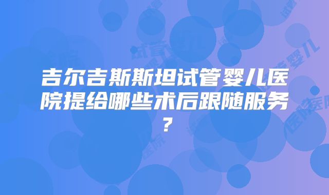 吉尔吉斯斯坦试管婴儿医院提给哪些术后跟随服务?