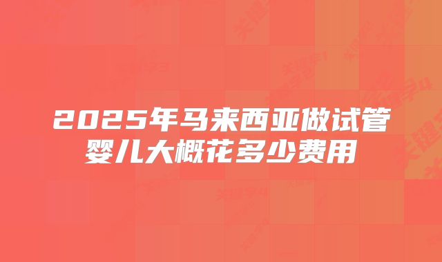2025年马来西亚做试管婴儿大概花多少费用