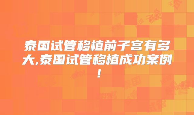 泰国试管移植前子宫有多大,泰国试管移植成功案例！