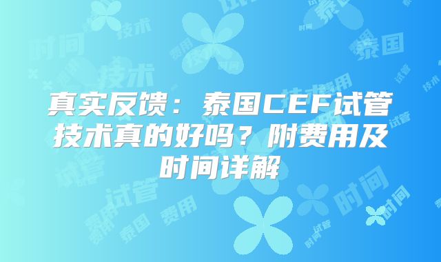 真实反馈：泰国CEF试管技术真的好吗？附费用及时间详解