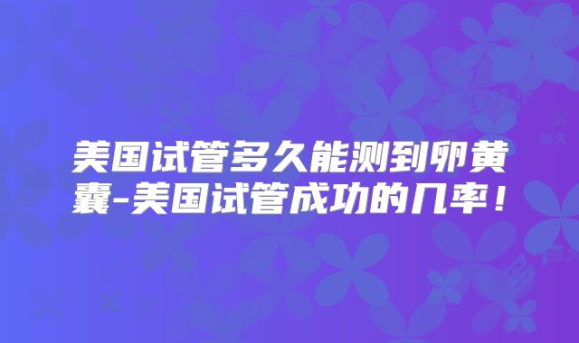美国试管多久能测到卵黄囊-美国试管成功的几率！