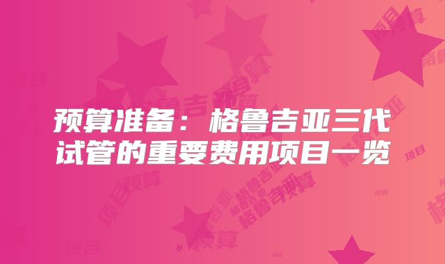 预算准备：格鲁吉亚三代试管的重要费用项目一览