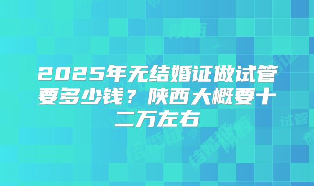 2025年无结婚证做试管要多少钱？陕西大概要十二万左右