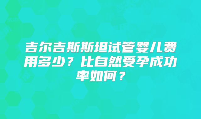 吉尔吉斯斯坦试管婴儿费用多少？比自然受孕成功率如何？