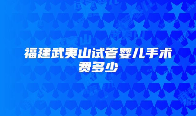 福建武夷山试管婴儿手术费多少