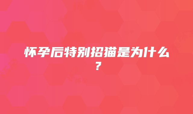 怀孕后特别招猫是为什么?