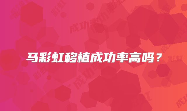 马彩虹移植成功率高吗？