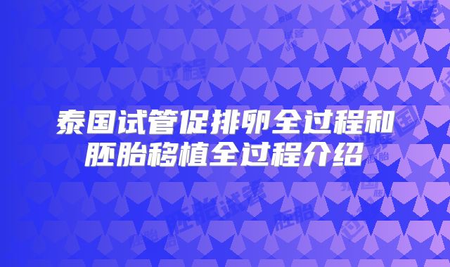 泰国试管促排卵全过程和胚胎移植全过程介绍