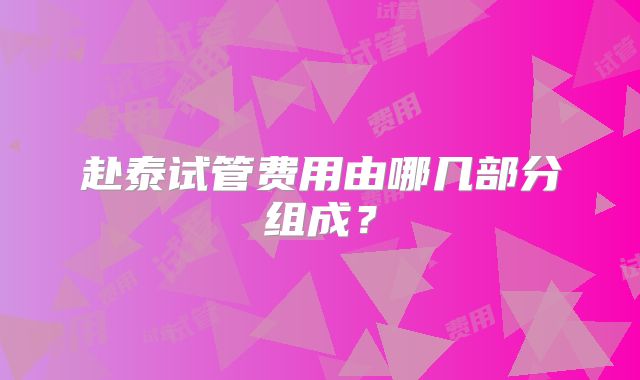 赴泰试管费用由哪几部分组成？