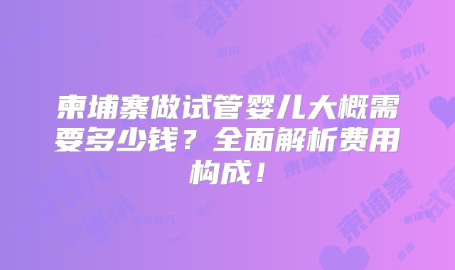 柬埔寨做试管婴儿大概需要多少钱？全面解析费用构成！