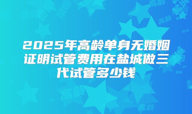2025年高龄单身无婚姻证明试管费用在盐城做三代试管多少钱