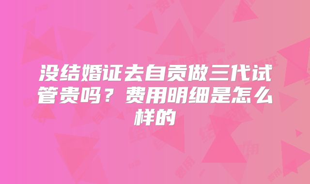 没结婚证去自贡做三代试管贵吗？费用明细是怎么样的