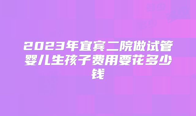 2023年宜宾二院做试管婴儿生孩子费用要花多少钱