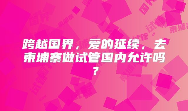 跨越国界，爱的延续，去柬埔寨做试管国内允许吗？