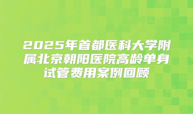 2025年首都医科大学附属北京朝阳医院高龄单身试管费用案例回顾