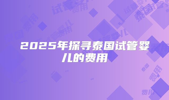 2025年探寻泰国试管婴儿的费用