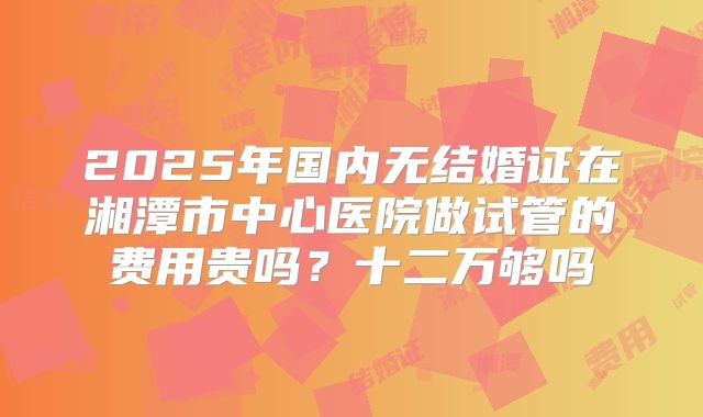 2025年国内无结婚证在湘潭市中心医院做试管的费用贵吗?十二万够吗