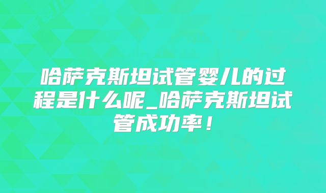 哈萨克斯坦试管婴儿的过程是什么呢_哈萨克斯坦试管成功率！