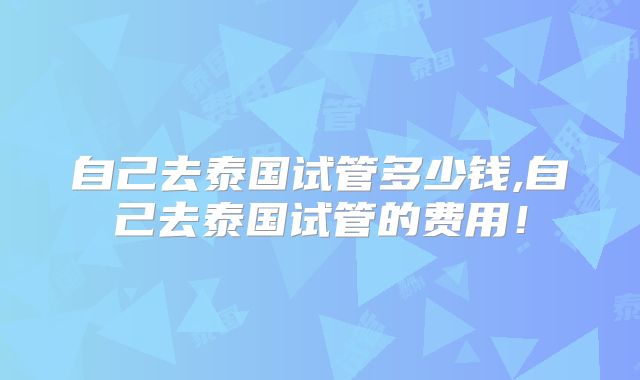 自己去泰国试管多少钱,自己去泰国试管的费用！