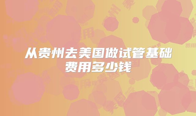 从贵州去美国做试管基础费用多少钱