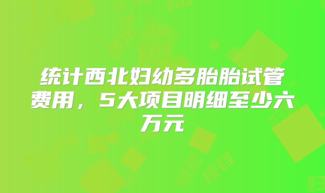 统计西北妇幼多胎胎试管费用，5大项目明细至少六万元