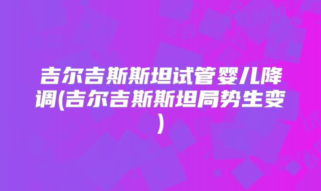 吉尔吉斯斯坦试管婴儿降调(吉尔吉斯斯坦局势生变)
