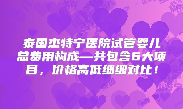 泰国杰特宁医院试管婴儿总费用构成—共包含6大项目，价格高低细细对比！